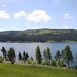 Nathalie - Wellness Mit Pool Und Sauna * Schluchsee