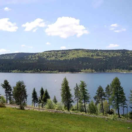 Nathalie - Wellness Mit Pool Und Sauna * Schluchsee