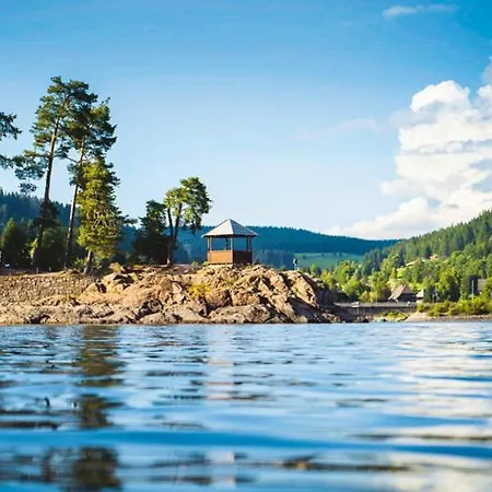 Nathalie - Wellness Mit Pool Und Sauna Apartament Schluchsee